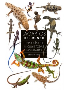 LAGARTOS DEL MUNDO