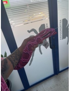 Peluche Python Rosa 2