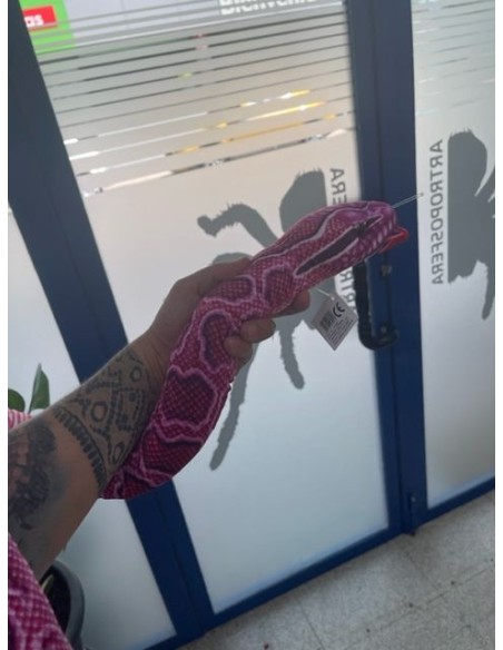 Peluche Python Rosa