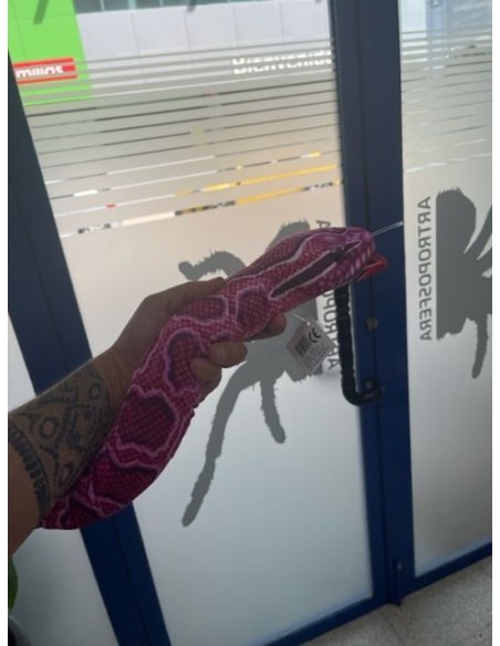 Peluche Python Rosa