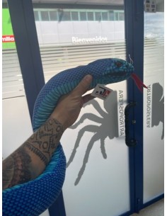 Peluche Serpiente Trimeresurus Insularis
