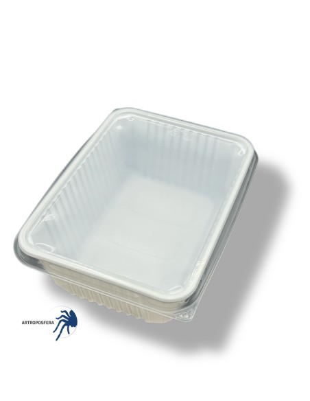 Tarrina con tapa rectangular 1000ml, sin ventilación.