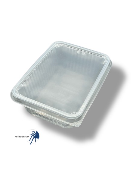 Tarrina con tapa rectangular 1000ml, sin ventilación.