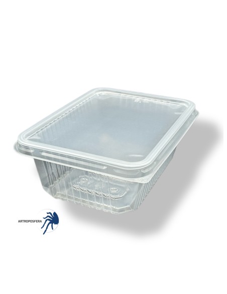 Tarrina con tapa rectangular 1000ml, sin ventilación.