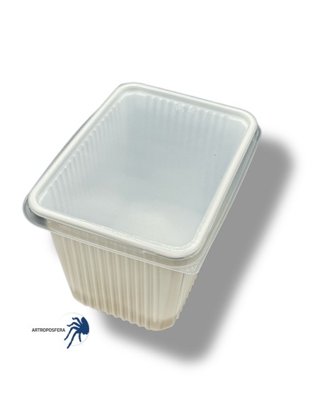 Tarrina con tapa rectangular 2000ml, sin ventilación.