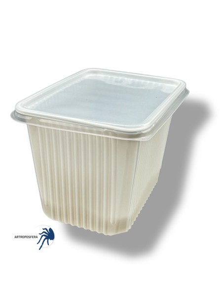 Tarrina con tapa rectangular 2000ml, sin ventilación.