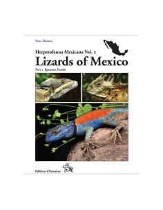 Lizards of Mexico Part I