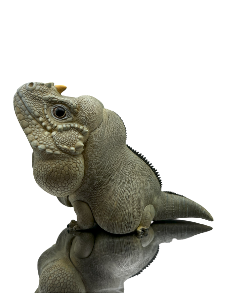 Cyclura cornuta Figura de Colección | Artroposfera