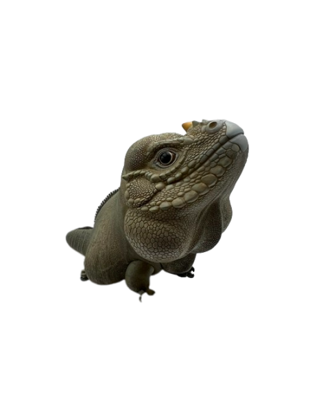 Cyclura cornuta Figura de Colección | Artroposfera
