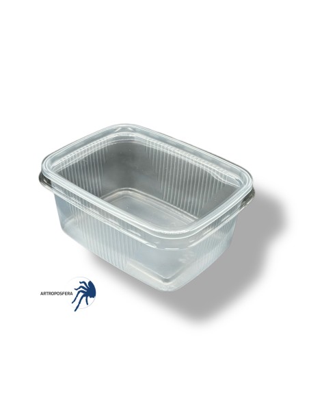 Tarrina con tapa rectangular 250ml / 500ml, sin ventilación.