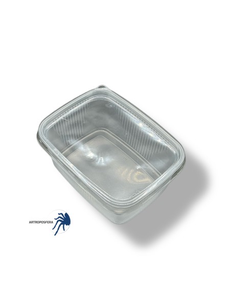 Tarrina con tapa rectangular 250ml / 500ml, sin ventilación.