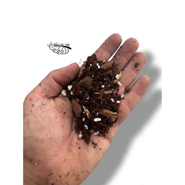 Sustrato Premium para plantas tropicales.