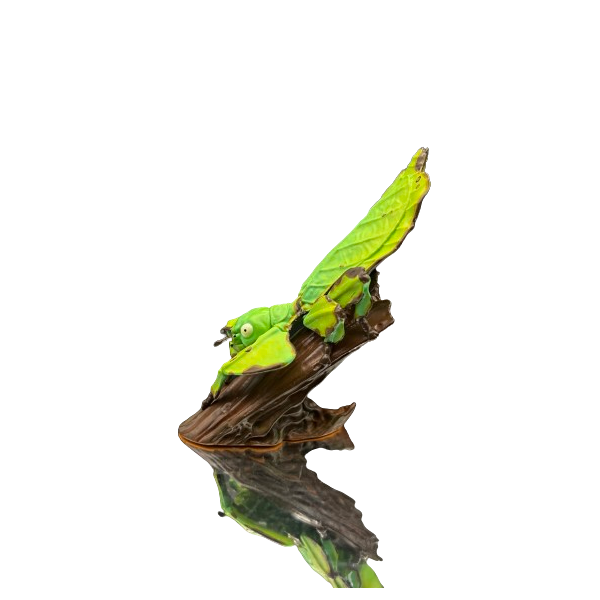 Iguana Iguana.  Figura de colección. Figura de Colección | Artroposfera