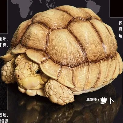 Centrochelys sulcata Figura de colección | Artroposfera
