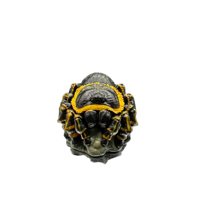 Grammostola pulchripes.  Figura de colección. Figura de Colección | Artroposfera 2