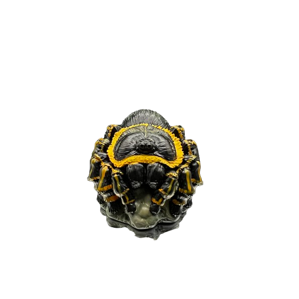 Grammostola pulchripes.  Figura de colección. Figura de Colección | Artroposfera