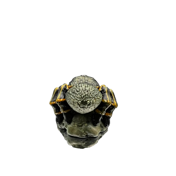Grammostola pulchripes.  Figura de colección. Figura de Colección | Artroposfera