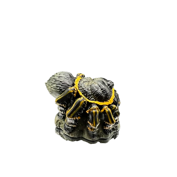 Grammostola pulchripes.  Figura de colección. Figura de Colección | Artroposfera