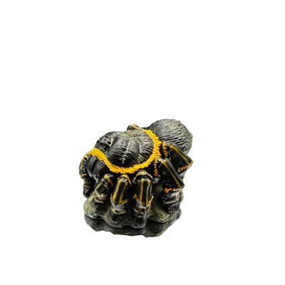 Grammostola pulchripes.  Figura de colección. Figura de Colección | Artroposfera