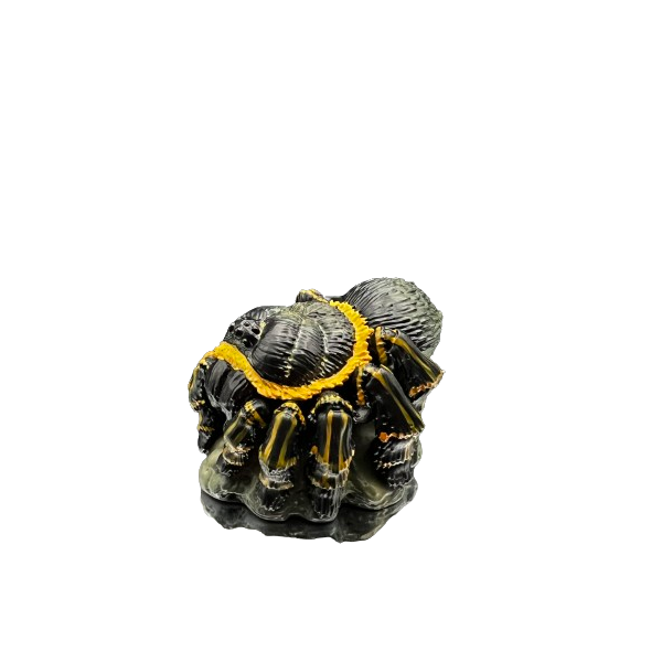 Grammostola pulchripes.  Figura de colección. Figura de Colección | Artroposfera