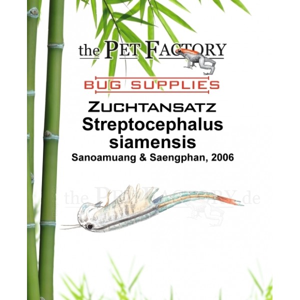Streptocephalus siamensis