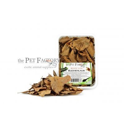Hojas de Haya Natural – 1 L | Artroposfera