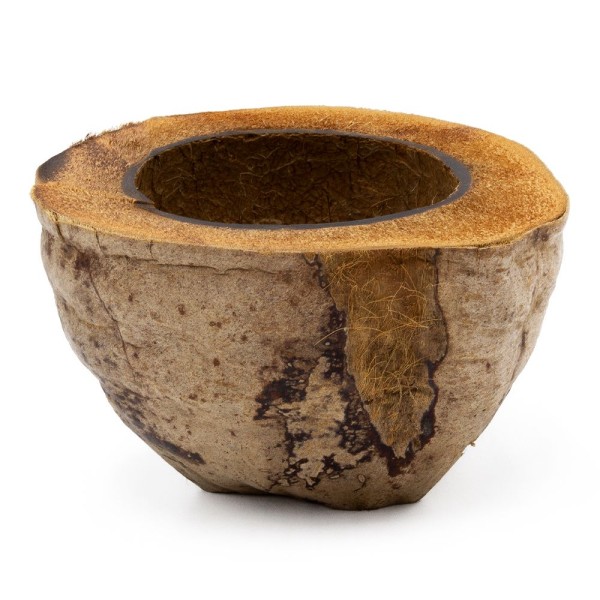 Media cáscara de coco - maceta