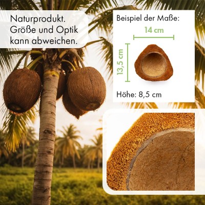 Media cáscara de coco - cuenco de agua 2