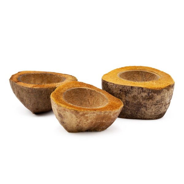Media cáscara de coco - cuenco de agua