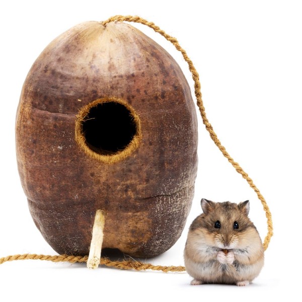 Cáscara de coco - Escondite colgante