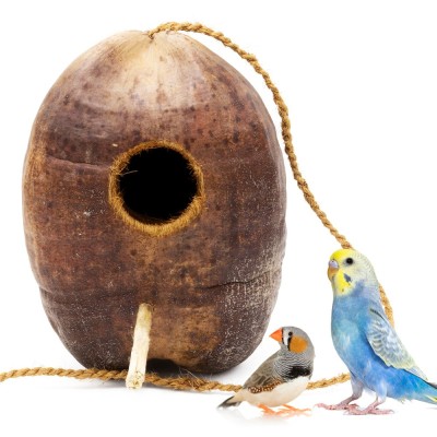 Cáscara de coco - Escondite colgante