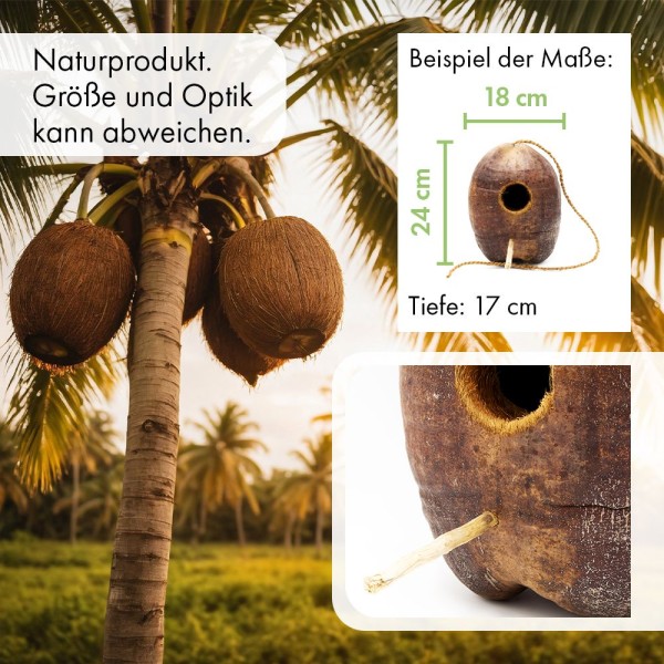 Cáscara de coco - Escondite colgante