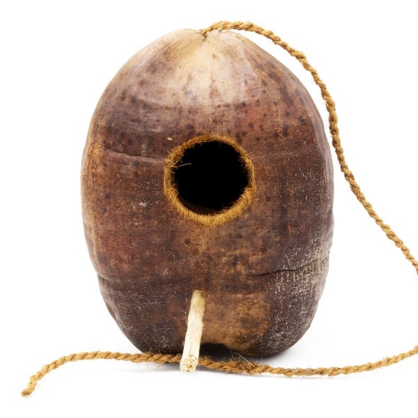 Cáscara de coco - Escondite colgante