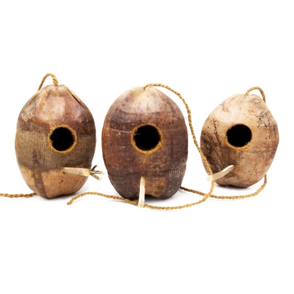 Cáscara de coco - Escondite colgante