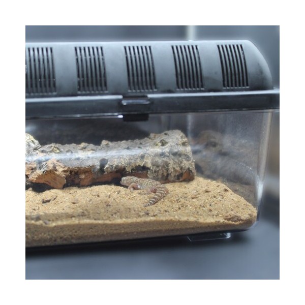 HabiStat Repti Tank, Flat, Faunarium