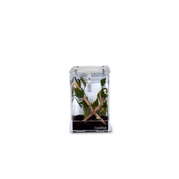 HabiStat Clear Home, terrario acrílico desmontable.
