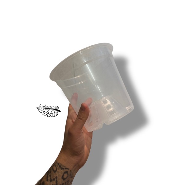 Maceta transparente para orquídea o plantas de colección.