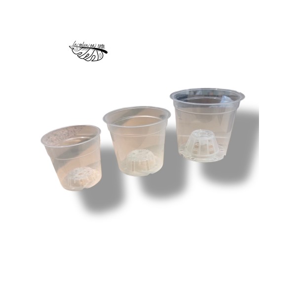 Maceta transparente para orquídea o plantas de colección.