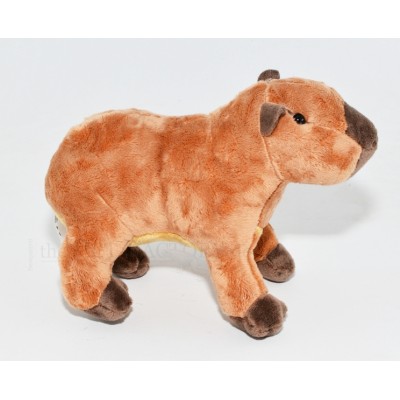 Capybara | Artroposfera