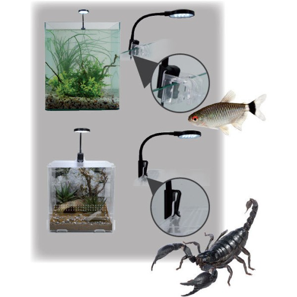 LUCKY REPTILE USB Mini Lamp LED 3,5W