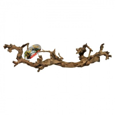 MAXI Sandblasted Grapevine, Lucky Reptile