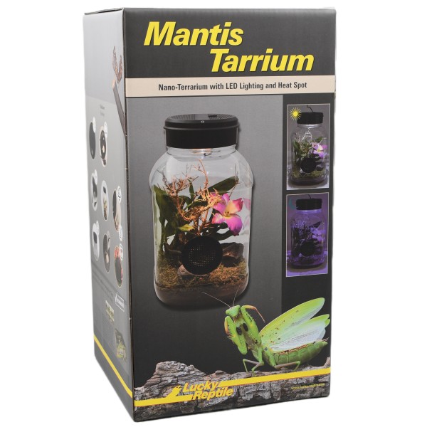 MantisTarrium 5L con Iluminación LED y Casquillo Halógeno – 15 x 15 x 25 cm | Lucky Reptile