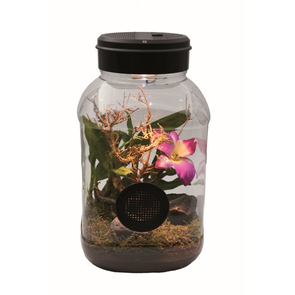 MantisTarrium 5L con Iluminación LED y Casquillo Halógeno – 15 x 15 x 25 cm | Lucky Reptile