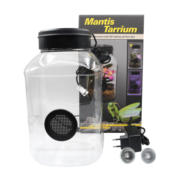 MantisTarrium 5L con Iluminación LED y Casquillo Halógeno – 15 x 15 x 25 cm | Lucky Reptile