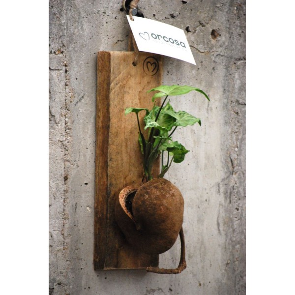 Arreglo Wallart Bump con planta de interior MIX.