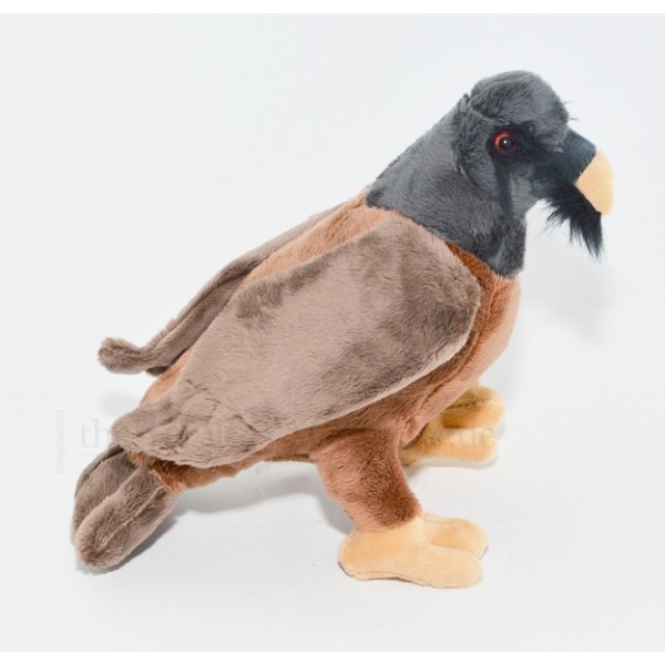 Peluche Buitre barbudo