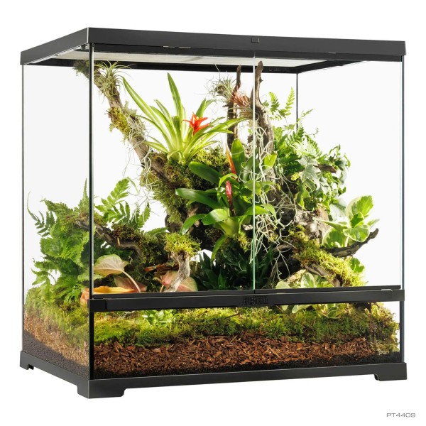 Pro Terrarium de Cristal Exo Terra Mediano 60x45cm base, varias medidas.