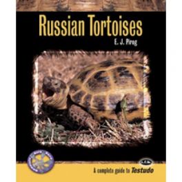TFH Complete Herp Care: Russian Tortoises.