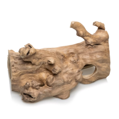 Cueva de madera de Java, Giganterra, Varios tamaños. 2
