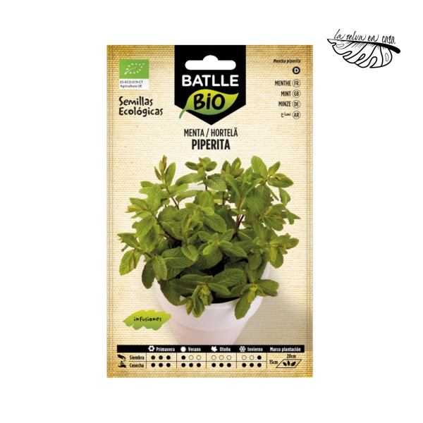 Menta (Mentha sp.) – Semillas BATLLE BIO